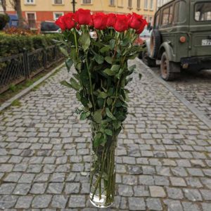 красные высокие розы в Черновцах фото