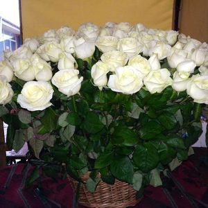 101 белая роза в корзине Черновцы фото