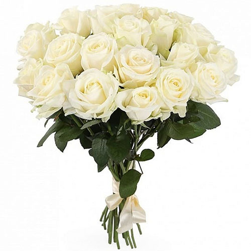 букет 21 біла троянда