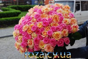 101 рожева і кремова троянда фото