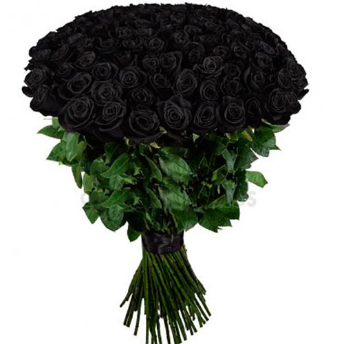 букет 101 чорна троянда фото