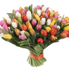 букет 99 разноцветных тюльпанов
