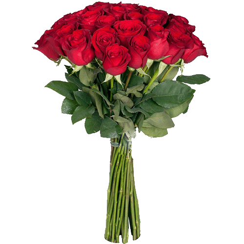 фото Екстра троянда (поштучно) червона