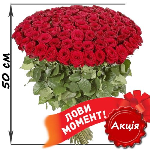 акційний букет 101 червона троянда (50см)
