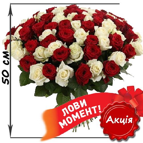 акційний букет 101 троянда мікс червона і біла (50 см)