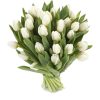 букет 25 білих тюльпанів фото
