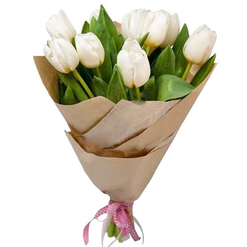 букет 11 білих тюльпанів фото