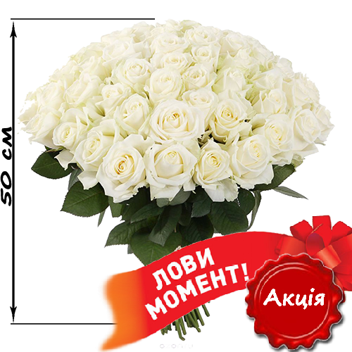 акційний букет 51 біла троянда (50 см)