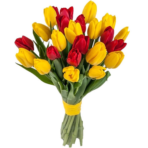 Фото товара 15 червоно-жовтих тюльпанів (зі стрічкою) у Чернівцях