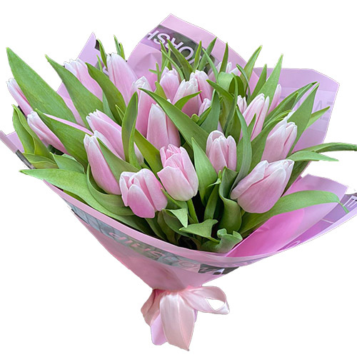 Фото товара 21 ніжно-рожевий тюльпан у Чернівцях