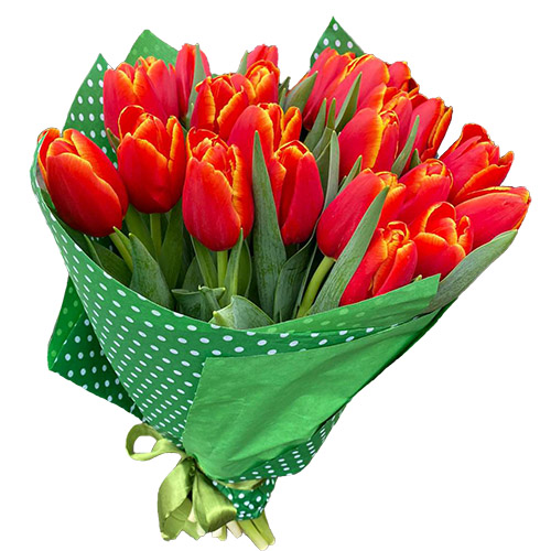 Фото товара 21 тюльпан "Маковий цвіт" у Чернівцях