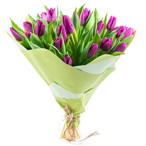 Фото товара 25 пурпурних тюльпанів у Чернівцях