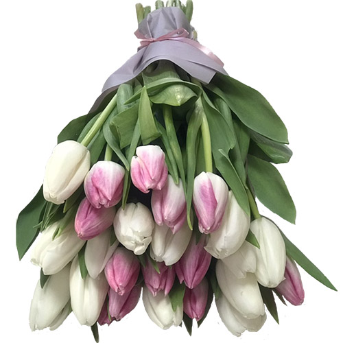 Фото товара 25 біло-рожевих тюльпанів у Чернівцях