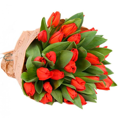 Фото товара 35 красных тюльпанов в "газете" у Чернівцях