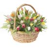 Фото товара 31 тюльпан "Весняний вітер" у квадратній коробці у Чернівцях