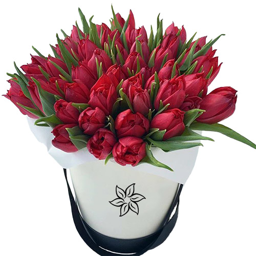Фото товара 45 алых тюльпанов в коробке у Чернівцях