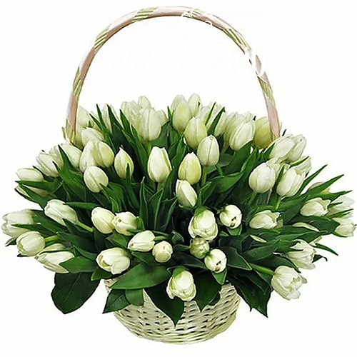 Фото товара "Сахарная вата" 51 белый тюльпан в корзине у Чернівцях