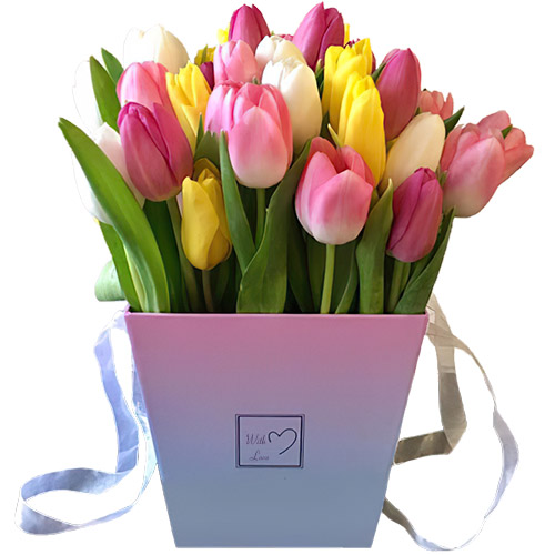 Фото товара 31 тюльпан "Весенний ветер" в квадратной коробке у Чернівцях