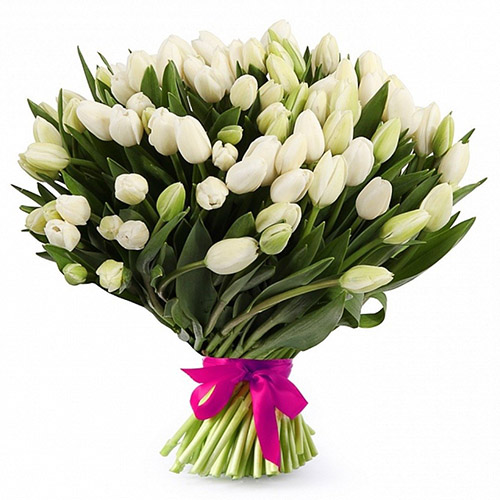 Фото товара 51 білий тюльпан "Джульєтта" у Чернівцях