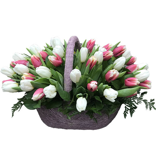 Фото товара 51 біло-рожевий тюльпан у кошику у Чернівцях
