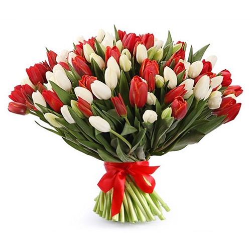 Фото товара 75 красно-белых тюльпанов (с лентой) у Чернівцях