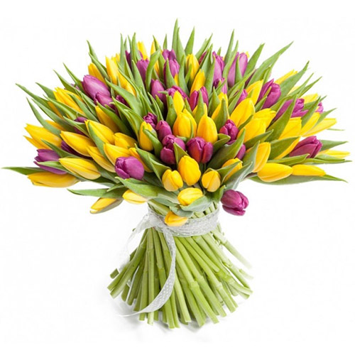 Фото товара 75 фиолетово-жёлтых тюльпанов у Чернівцях