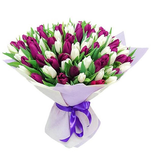 Фото товара 75 пурпурно-белых тюльпанов у Чернівцях