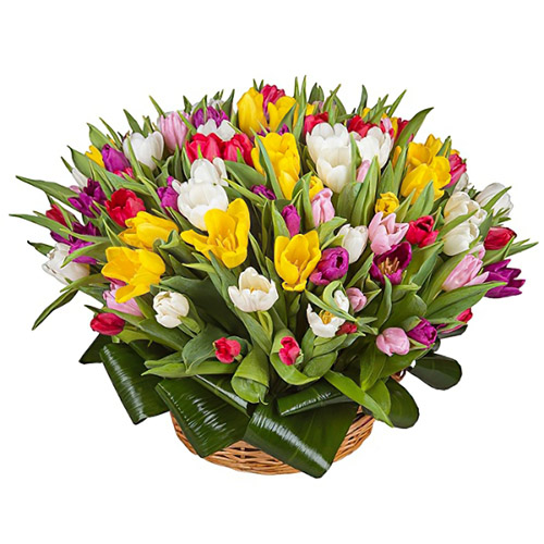 Фото товара 75 тюльпанов микс (все цвета) в корзине у Чернівцях