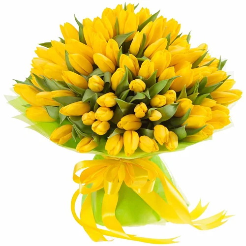 Фото товара 75 жовтих тюльпанів "Сяйво золота" у Чернівцях