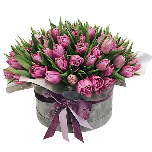 Фото товара 101 пурпурний тюльпан у коробці у Чернівцях
