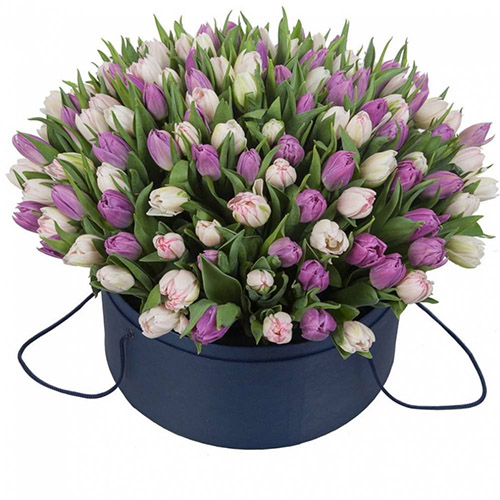 Фото товара 201 тюльпан (два кольори) в коробці у Чернівцях
