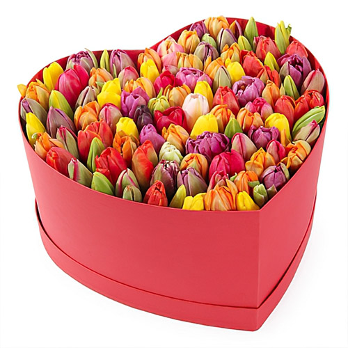 Фото товара 101 тюльпан у коробці серцем у Чернівцях