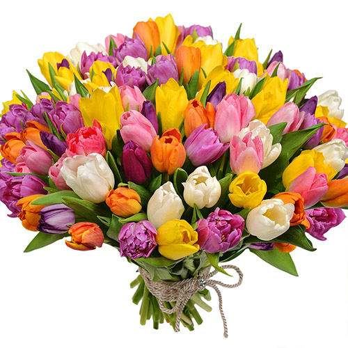 Букет "Самоцветы" (101 тюльпан) фото