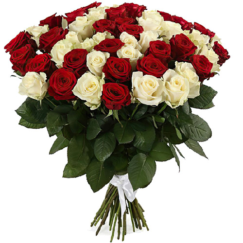 Фото товара 51 роза красная и белая у Чернівцях