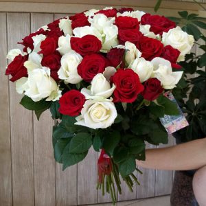 51 красная и белая роза в Черновцах фото