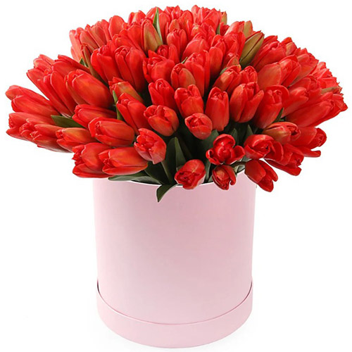 Фото товара 101 червоний тюльпан у коробці у Чернівцях