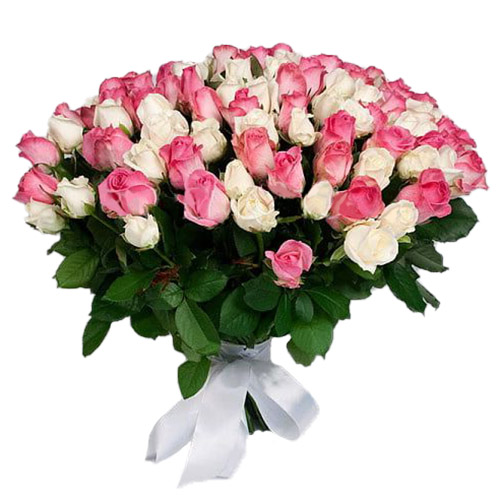 Фото товара 101 біла і рожева троянда у Чернівцях