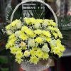 Фото товара Корзина "Белые хризантемы, жёлтые розы" у Чернівцях