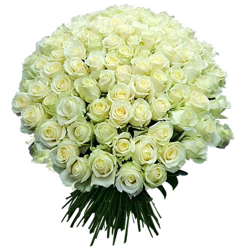 Фото товара 101 біла троянда у Чернівцях