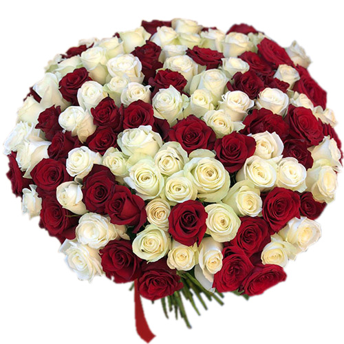 Фото товара 101 червона і біла троянда у Чернівцях