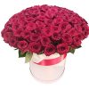 Фото товара 101 роза красная в шляпной коробке у Чернівцях