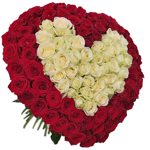 Фото товара Серце 101 троянда біла та червона у Чернівцях