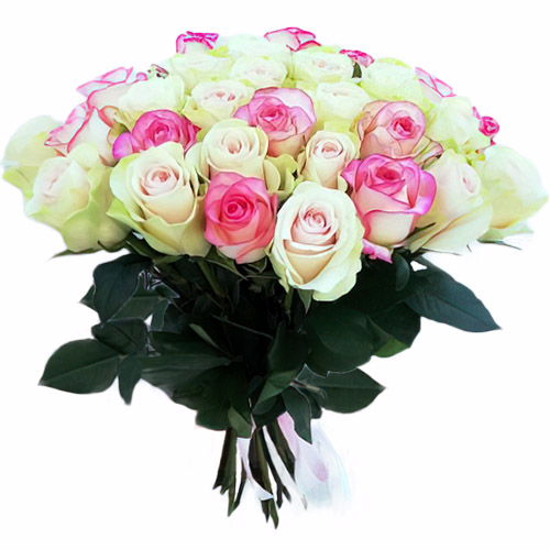 Фото товара 33 кремовые и розовые розы у Чернівцях
