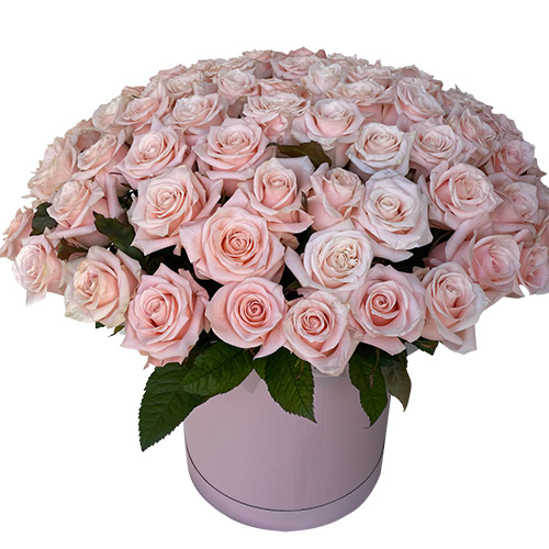 Фото товара 101 розовая роза в коробке у Чернівцях