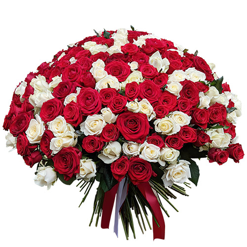Фото товара 201 червона і біла троянда у Чернівцях
