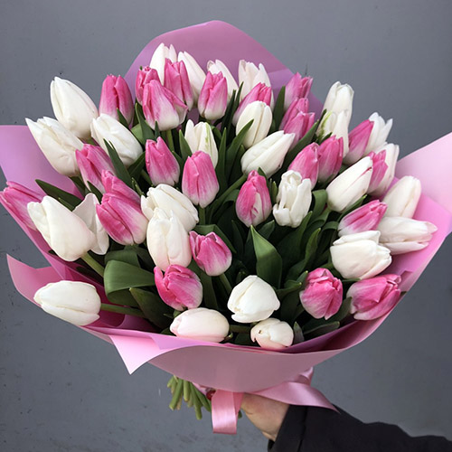 фото букета 51 бело-розовый тюльпан в Черновцах фото