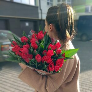 25 червоних тюльпанів фото