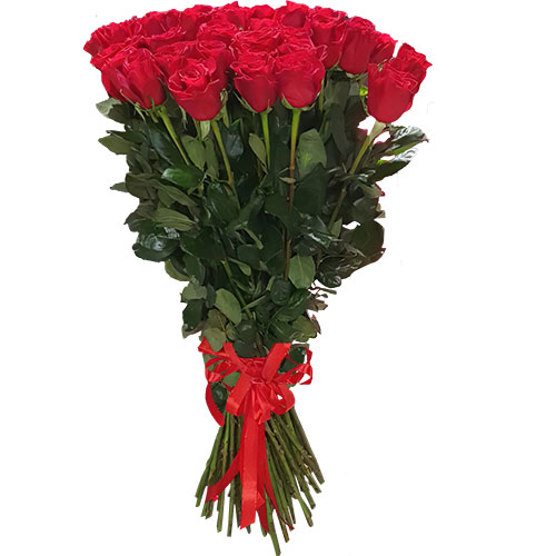 Фото товара 25 метровых роз "Фридом" у Чернівцях