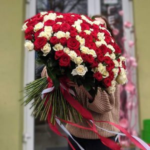 фото букета 201 красно-белая роза в Черновцах