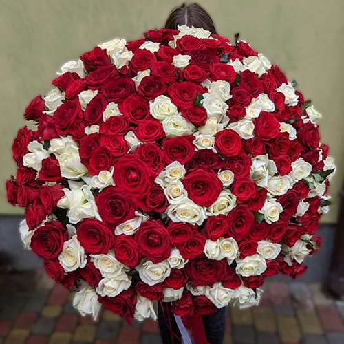 Большой букет из белых и красных роз фото